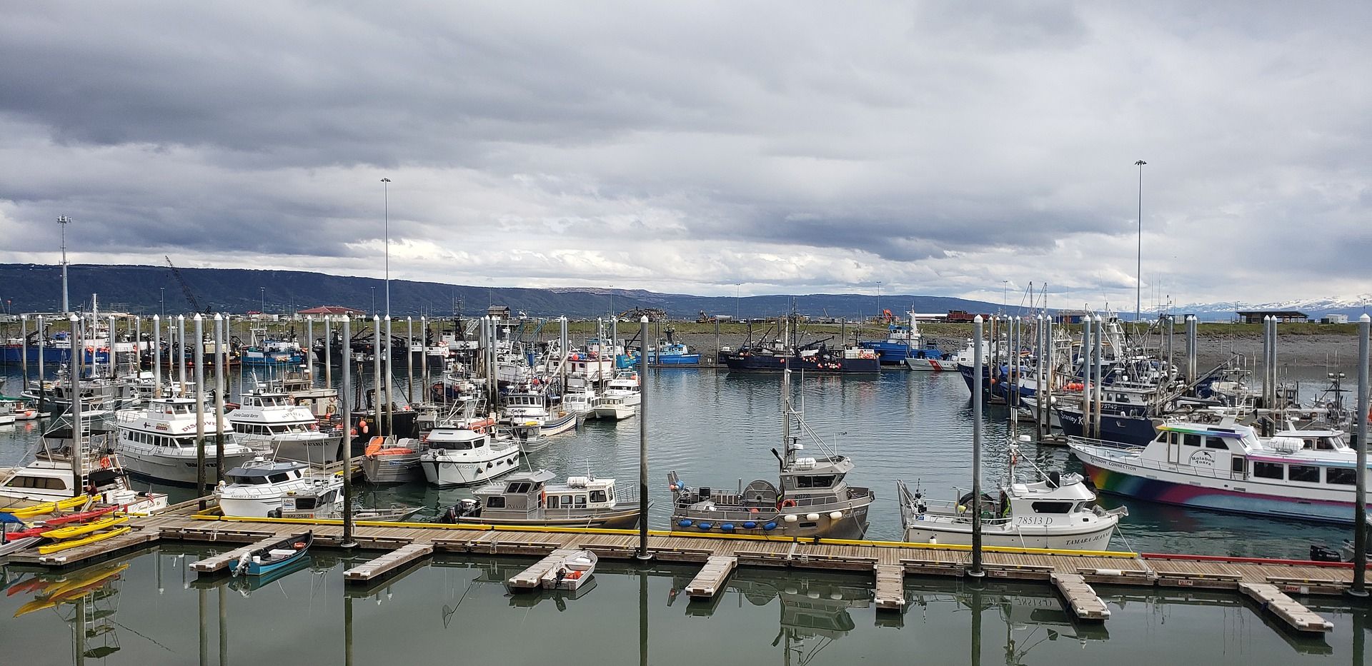 Homer, Alaska, SUA